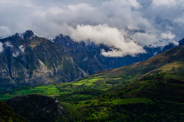 Amplio colorido de la naturaleza