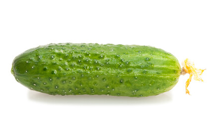 green cucumber isolated on white background