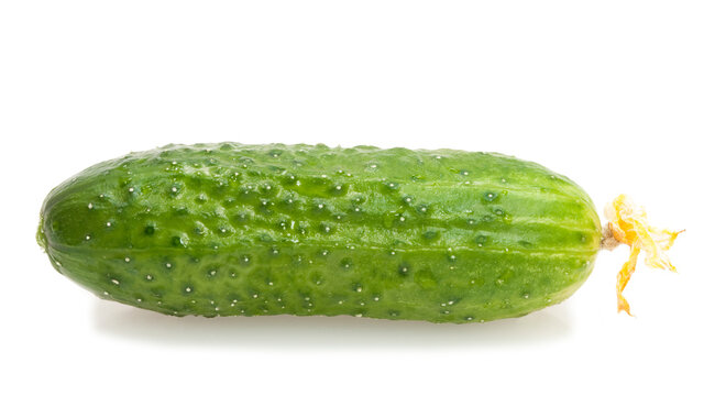 green cucumber isolated on white background