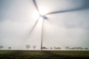 El medio rural entre nieblas