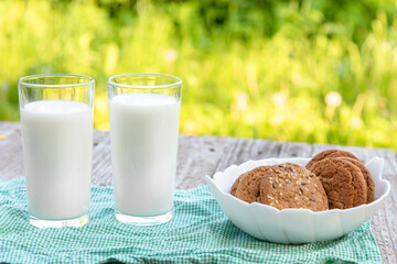 Two glasses of milk with cookies on the background of green grass in the fresh air.