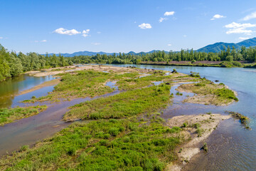 River in a mountain valley on a sunny day. Nature landscape. Tisza river, Zakarpattia Oblast, Ukraine, Europe