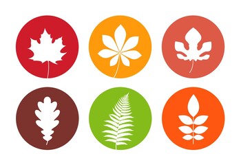 Fototapeta na wymiar Leaf logo. Isolated leaf on white background