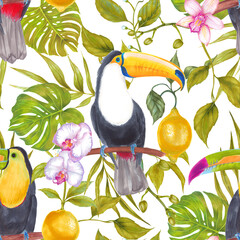 Watercolor tropical orchid flowers, split leaf philodendron, lemons fruit, bamboo leaves with toucan bird seamless pattern. Colorlful tropic background on white.