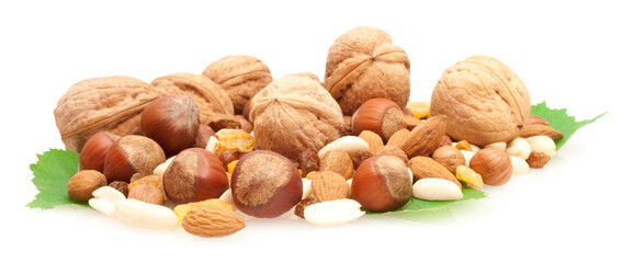 collection of nnuts and dried fruits on green leaves isolated on white background