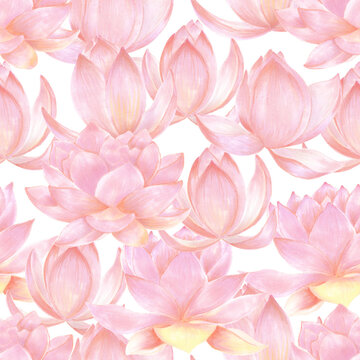 Lotus flowers watercolor seamless pattern