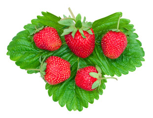 fresh strawberries on green leaf isolated on white background