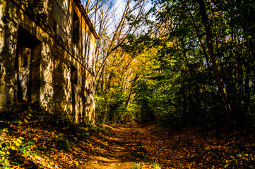 Naklejka premium Los colores del Canal de Castilla y sus alrededores