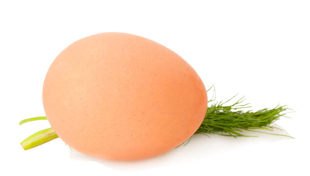 whole egg with a dill isolated on white background