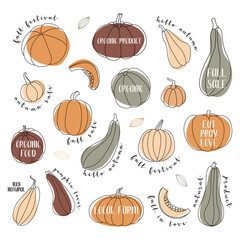 Pumpkin, squash, zucchini, marrow. Various shapes and colors. Perfect for autumn decorative design, thanksgiving and halloween invitation, harvest. Vector flat illustration