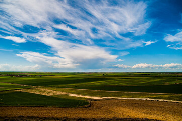 Obraz premium El proliferar del campo