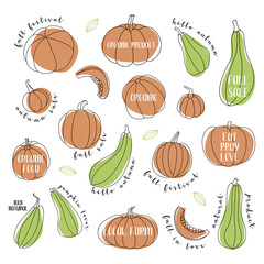 Pumpkin, squash, zucchini, marrow. Various shapes and colors. Perfect for autumn decorative design, thanksgiving and halloween invitation, harvest. Vector flat illustration