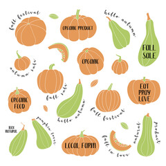 Pumpkin, squash, zucchini, marrow. Various shapes and colors. Perfect for autumn decorative design, thanksgiving and halloween invitation, harvest. Vector flat illustration