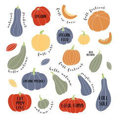 Pumpkin, squash, zucchini, marrow. Various shapes and colors. Perfect for autumn decorative design, thanksgiving and halloween invitation, harvest. Vector flat illustration