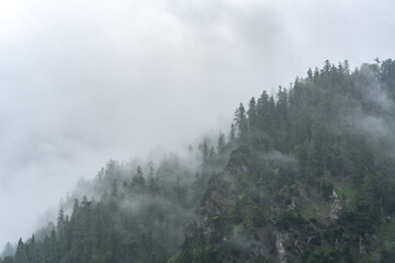 The Alps with fog