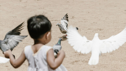 small kid playing with pigeons in a park