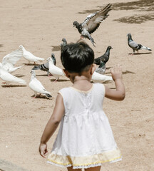 small kid playing with pigeons