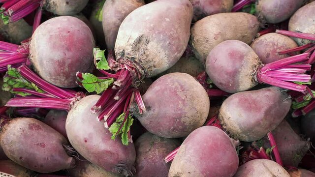 Freshly harvested red beets on display at the farmer's market