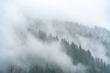 Fototapeta na wymiar The Alps with fog