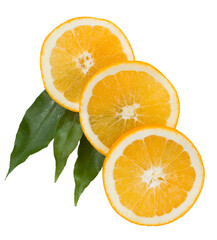 orange segments in a row with green leaves