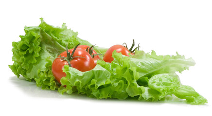 Tomatoes and lettuce on the white
