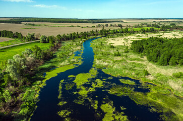 Aerial view of road between green summer forest and blue river