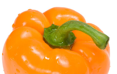 orange pepper with drops of water