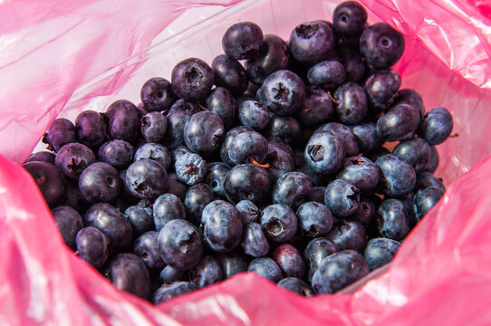 Blueberry fruits in the plastic purchase package