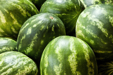 watermelons on a market