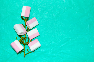 A vine branch that has marshmallows instead of berries, on a turquoise background, humor.