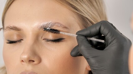 Master applies brow paste with a brush to eyebrows. Beautiful attractive female face of a blonde...