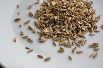 スパイス（クミン）３