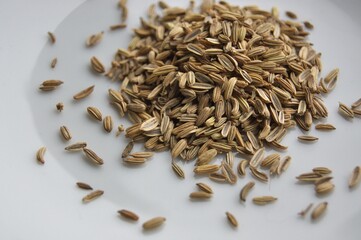 スパイス（クミン）２