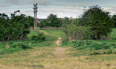 A Path Leading Through Grasslands In Northamptonshire
