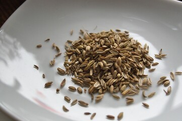 スパイス（クミン）１