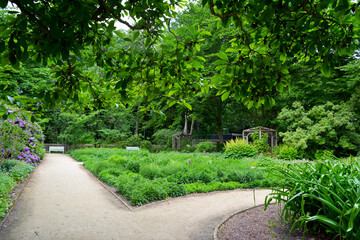Botanischer Garten in Gütersloh im Juni