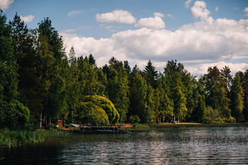 Naklejka premium lake in the forest