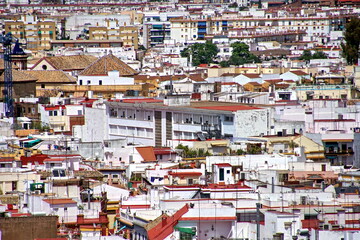 Fototapeta premium City View from Giralda Spire Bell Tower in Seville Cathedral in Andalusia Spain.
