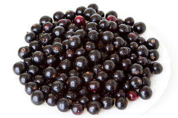 black currants lies on a white plate on a white background