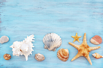 beach scene concept with sea shells and starfish on blue wooden backdrop