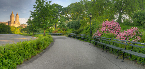 Obraz premium Central Park in spring