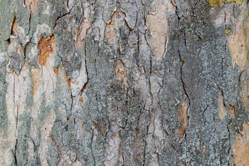 strukturierte Textur als Hintergrund oder Untergrund aus Holz