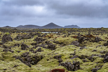 Volcanic lava rocks covered in moss with mountains in the background under dramatic cloudy and...