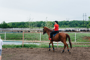 A young and pretty girl is learning to ride a thoroughbred Mare on a summer day at the ranch. Horse...
