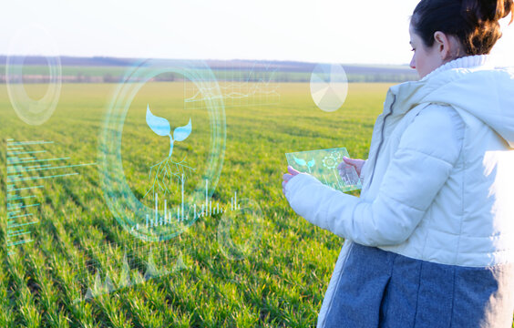 Farmer woman analyzes plants on the field using artificial intelligence. The received data is displayed on a virtual screen available for further research. - Powered by Adobe