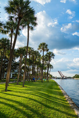 Fototapeta premium Tampa Cityscape
