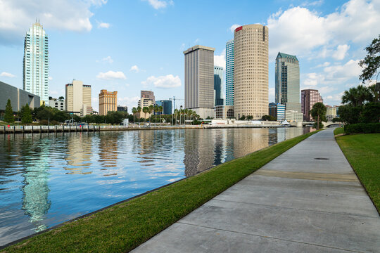 Downtown Tampa Cityscape