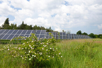 Solar Power Station on the spring flowering Meadow 