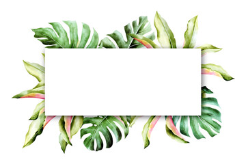 Isolated tropic palm leaves frame