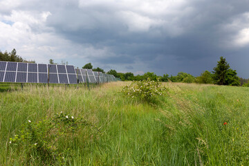 Solar Power Station on the spring flowering Meadow 